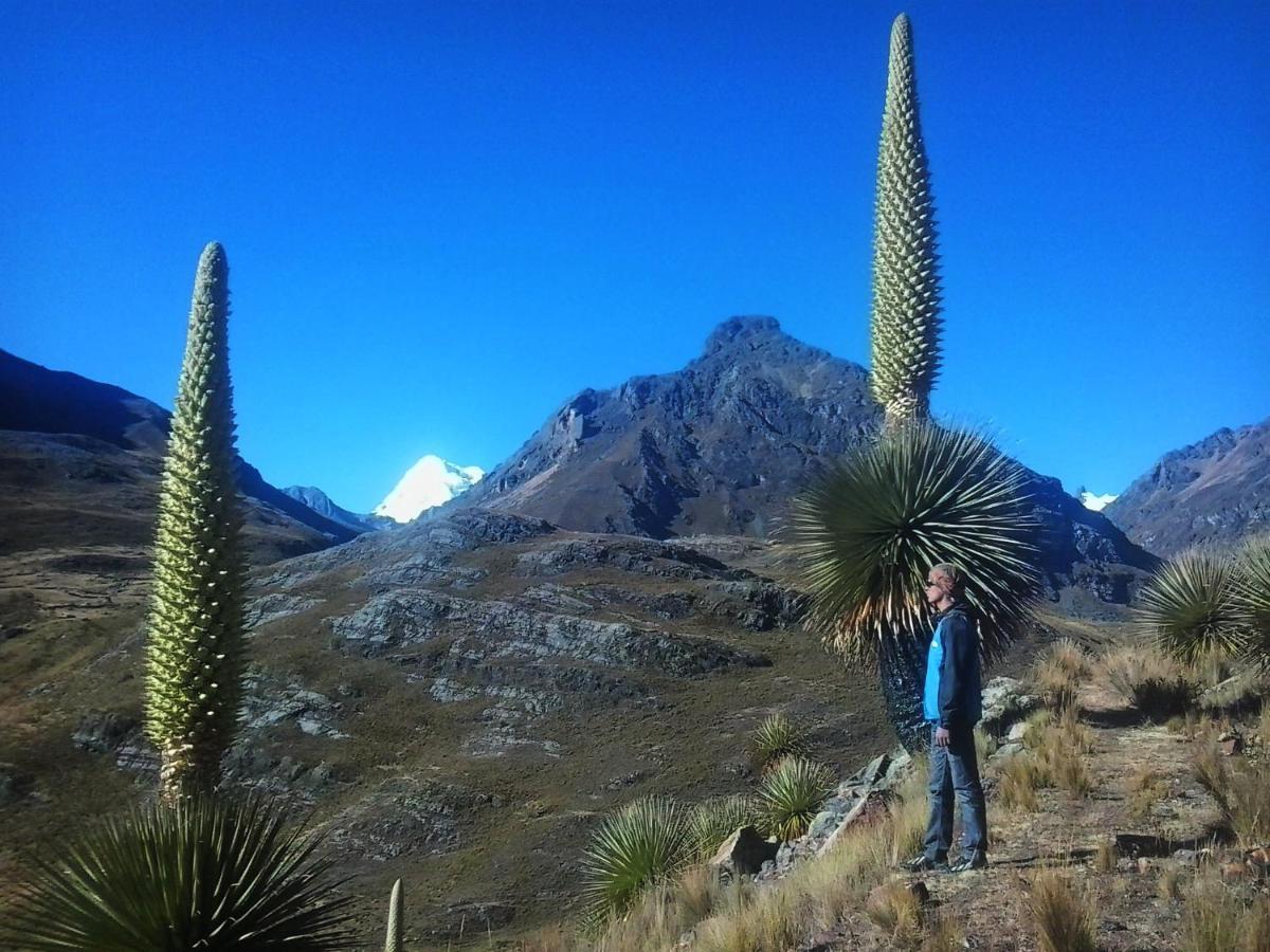 Laguna House Huaraz  Eksteriør bilde